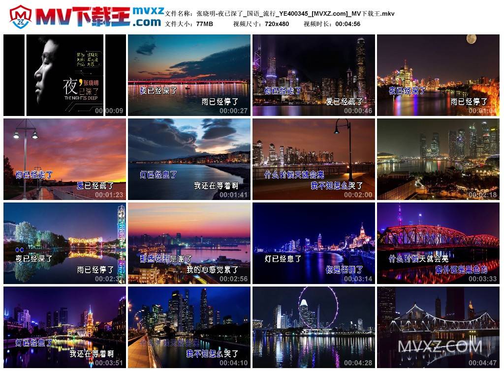 张晓明-夜已深了_国语_流行_YE400345